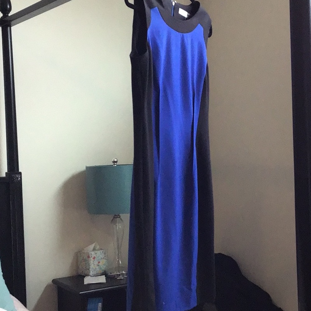 NWT Ladies 10 Calvin Klein Dress